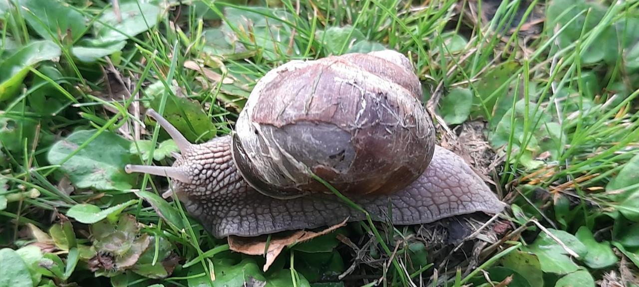 Noclegi Teodorowka Dukla Kültér fotó